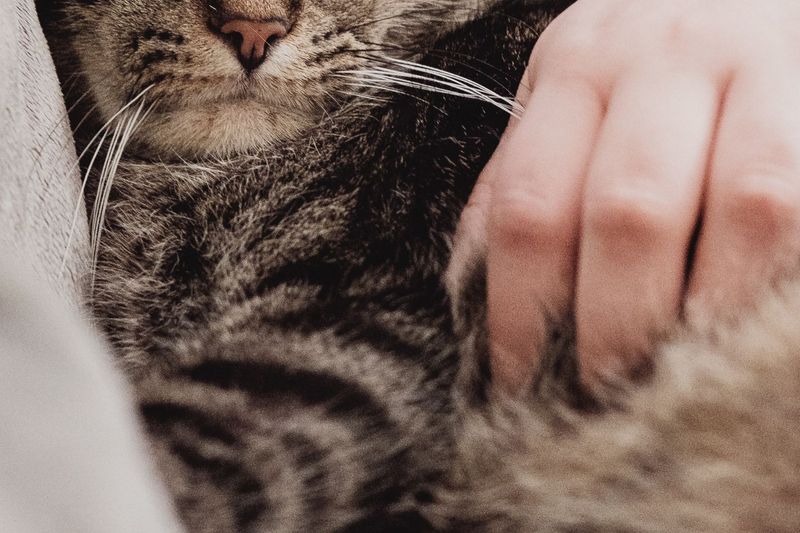 Allergy Blood Tests What It Is & What You Need to Know Blog Getlabs